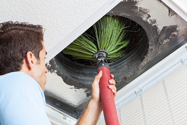 Best Air Duct Cleaning Near Me  in Brinkley, AR