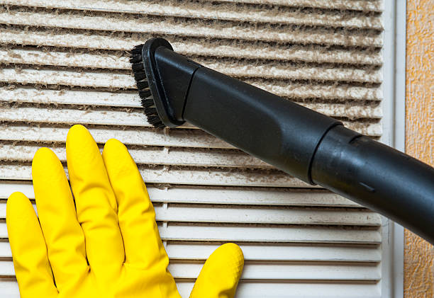 Best Duct Cleaning Specialists  in Brinkley, AR